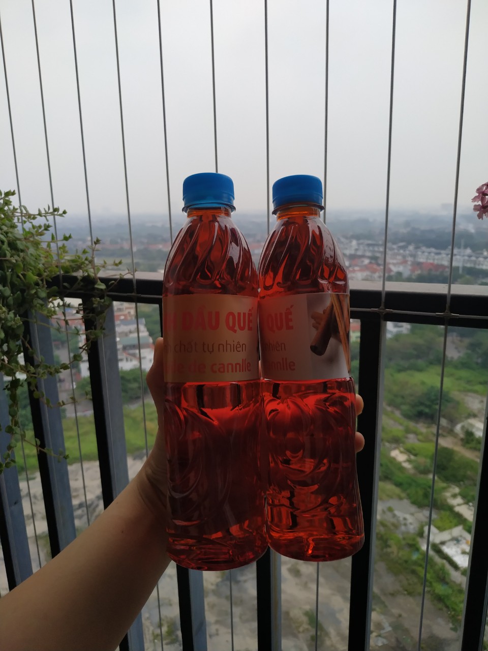 Tinh dầu quế lau nhà, chai 500ml