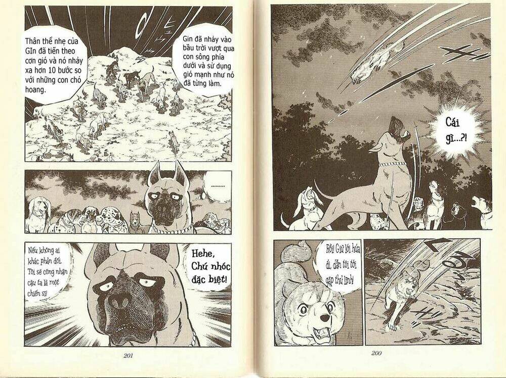 chú chó có nghĩa - ginga nagareboshi gin chapter 10 22