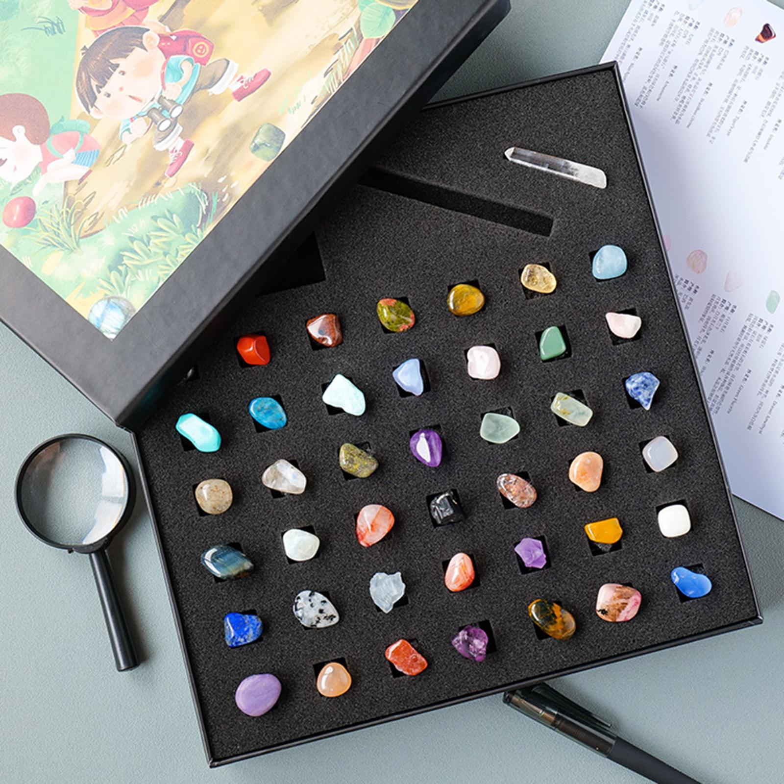 Rock and Mineral Collection Geology Educational Toys Activities for Decors