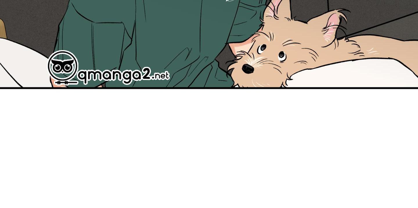 gâu gâu! chapter 50 48