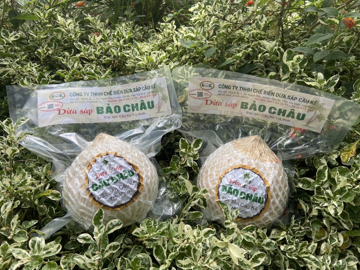 Dừa sáp Bảo Châu - Dừa sáp loại 1