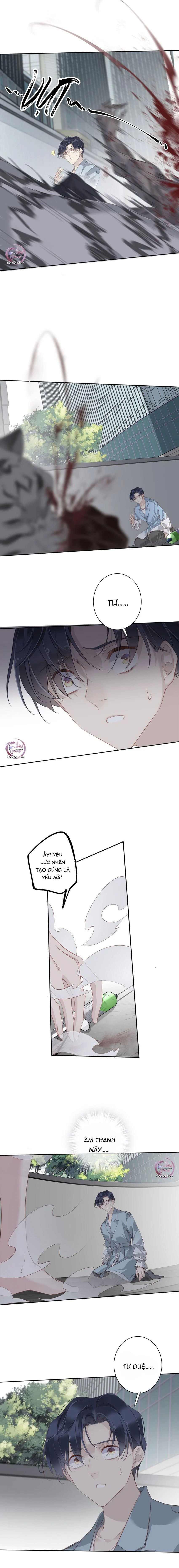 cuộc mai mối vượt giống loài chapter 53 6