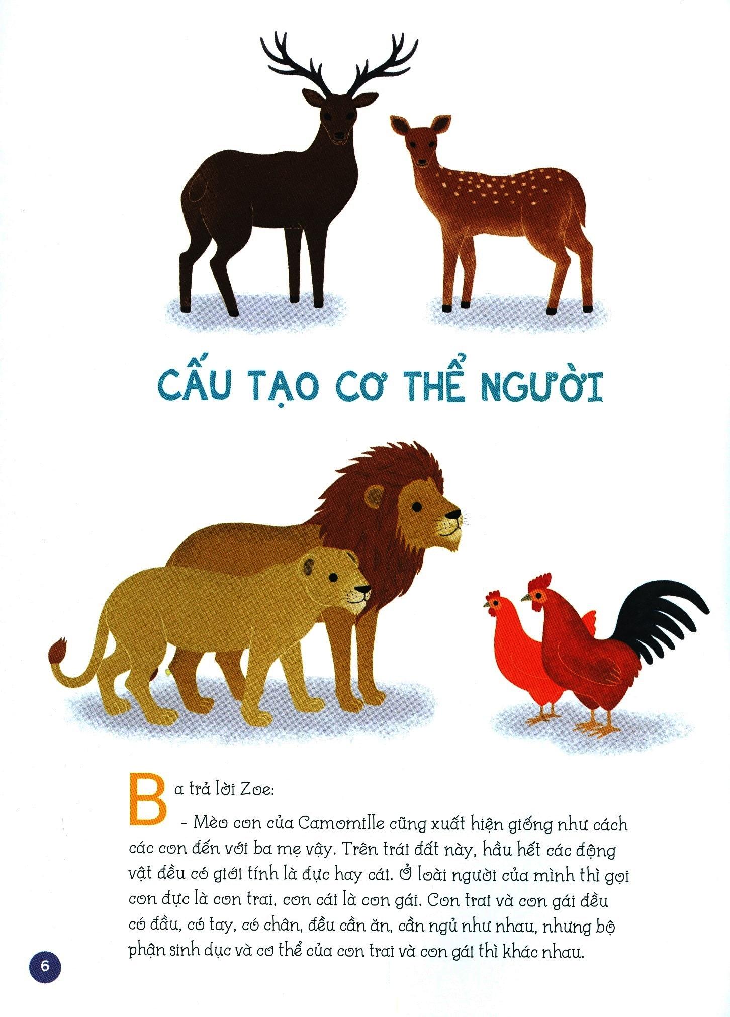 Những Bí Mật Con Muốn Biết (Dành Cho Trẻ Từ 4 - 6 Tuổi)