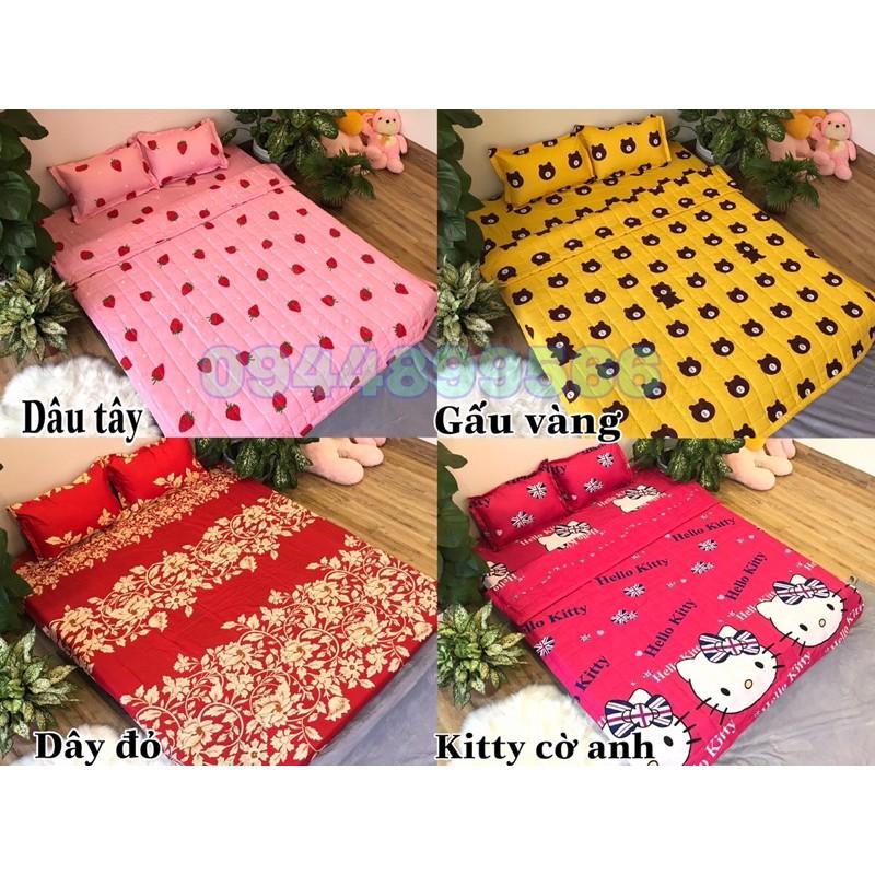 Vỏ gối ôm cotton poly nhiều mẫu