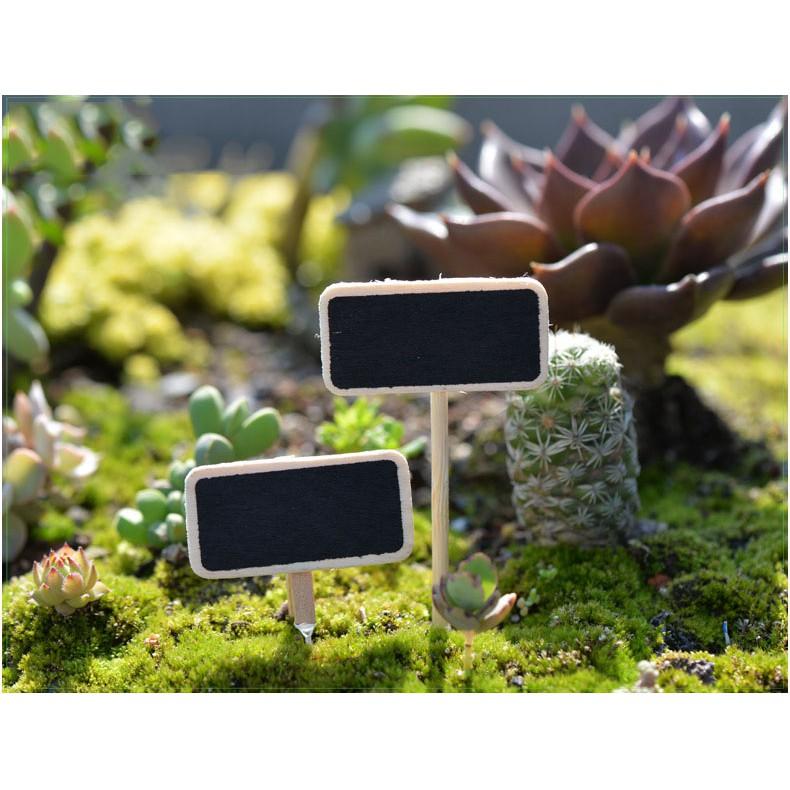 Tiểu cảnh Terrarium ️ Bảng tên đen trống tiểu cảnh trang trí sen đá, sân vườn, bể cá, bể terrarium