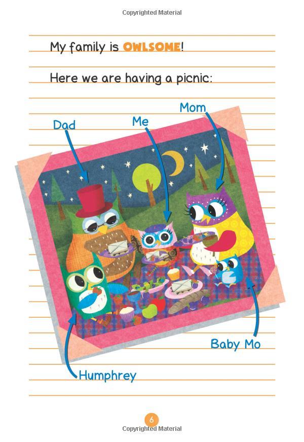 Sách ngoại văn: OWL DIARIES #6: BAXTER IS MISSING