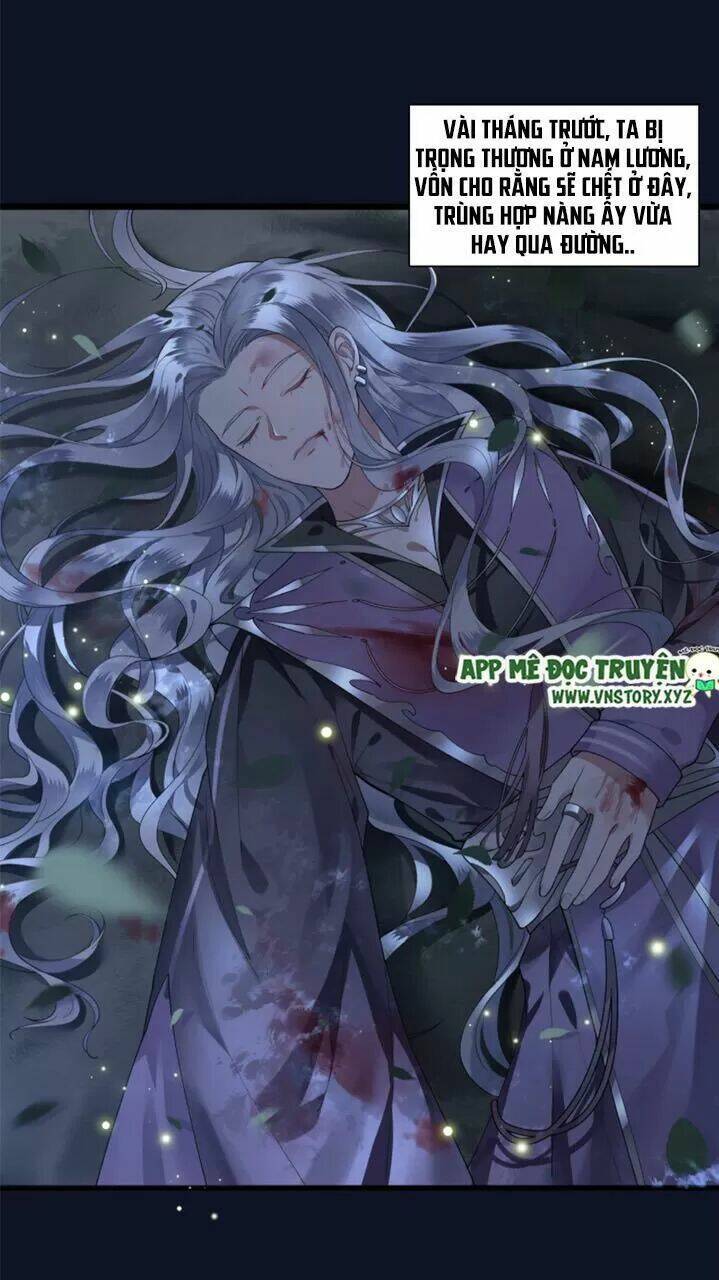phượng hoàng vu phi chapter 51 4