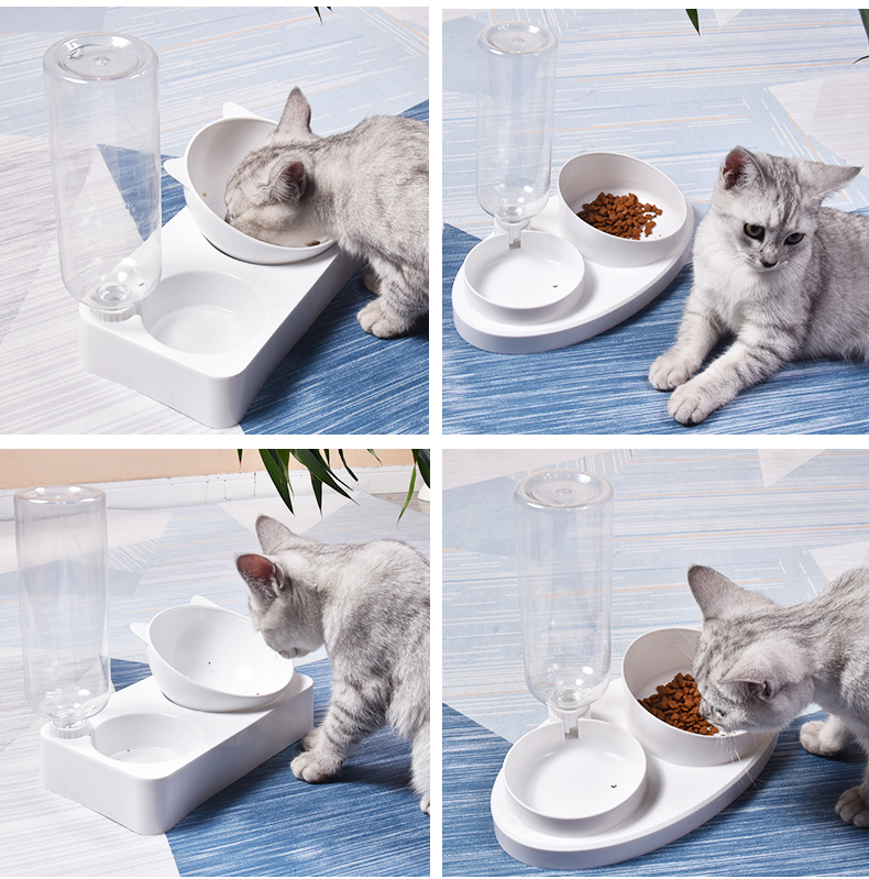 Bộ Chén ăn Bình nước cho chó mèo