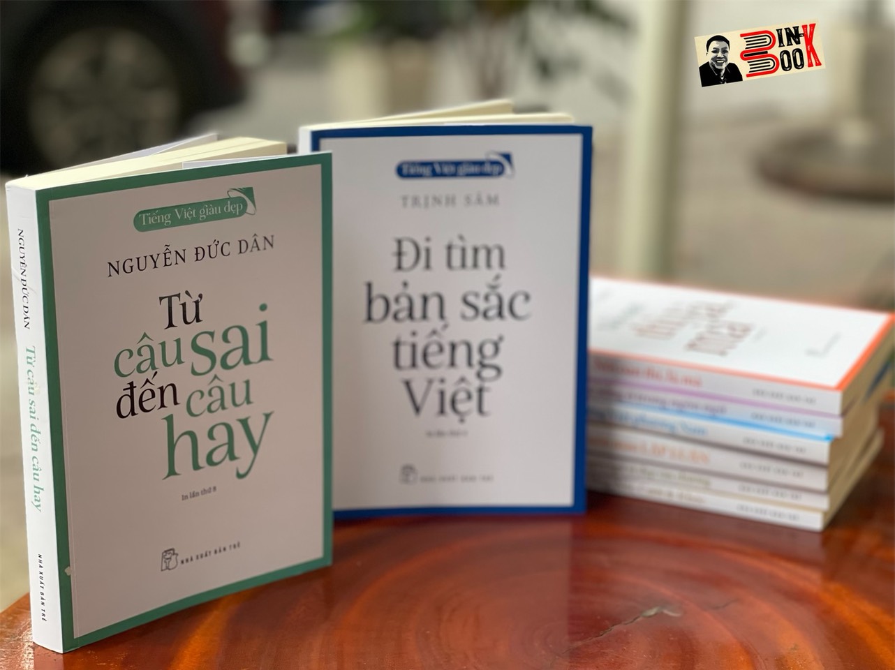 Combo 8 cuốn TIẾNG VIỆT GIÀU ĐẸP – Nhiều tác giả – NXB Trẻ (Bìa mềm)