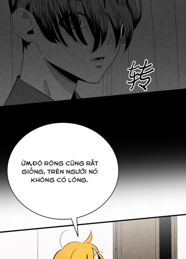 skeleton làm bố chapter 8 58