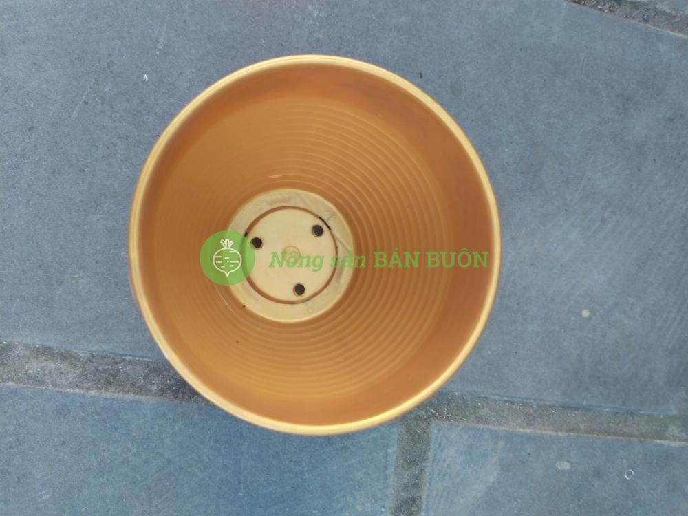 3 Chậu nhựa Hoa Mai Vàng 110x90, trồng cây mini,  xương rồng, cây để bàn, sen đá