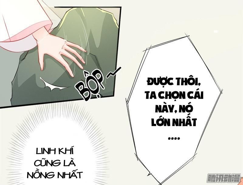 tuyệt thế luyện đan sư chapter 6 35