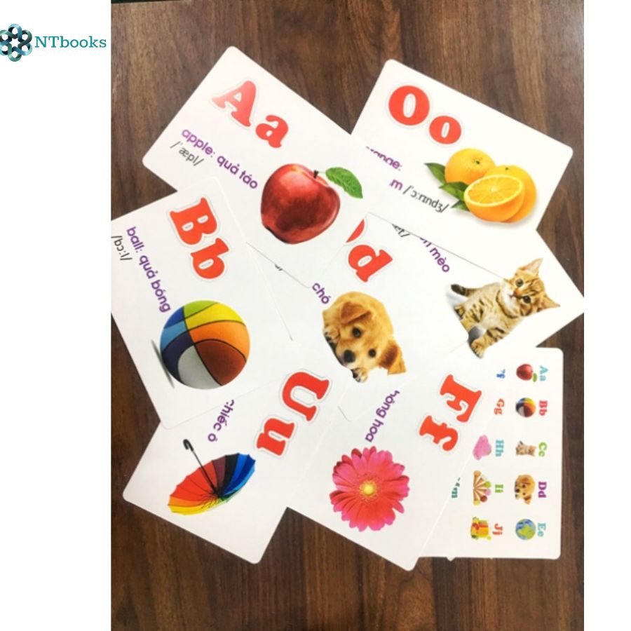 Sách Flash Card Glenn Doman - Thế Giới Quanh Em - Bảng Chữ Cái Tiếng Việt