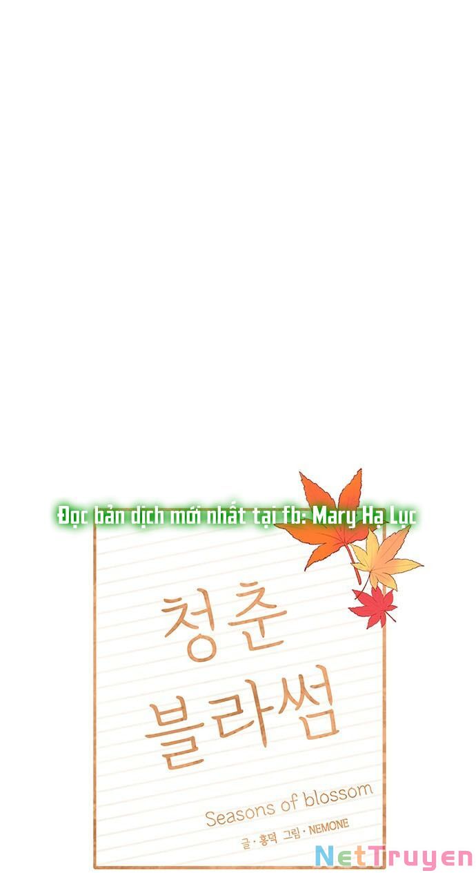 thanh xuân rực rỡ - season of blossom chapter 95 2