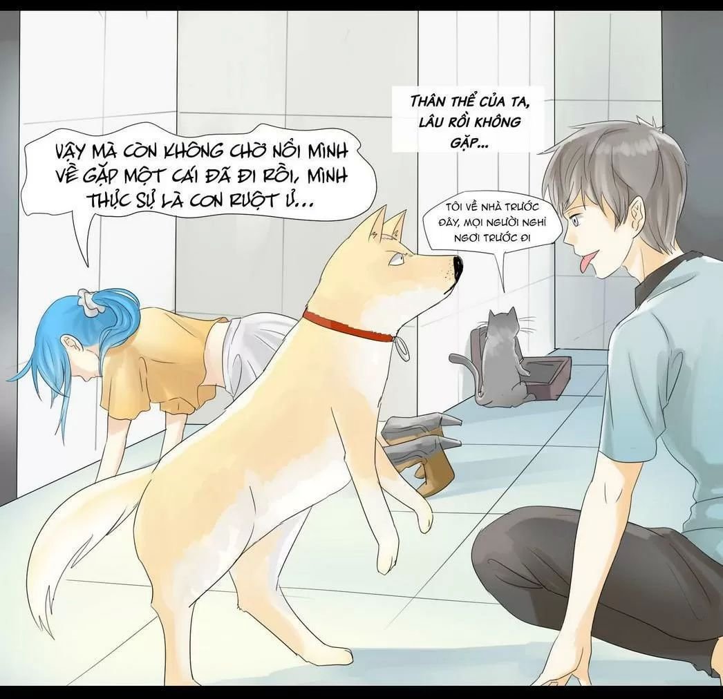 một con chó chapter 43 7