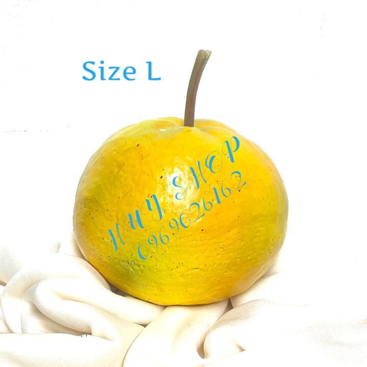 COMBO 3 TRÁI QUÝT VÀNG - TRÁI CÂY GIẢ