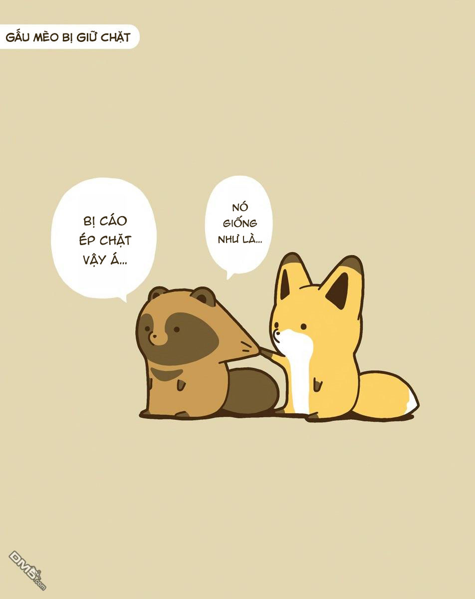 cáo và gấu mèo chapter 10 18