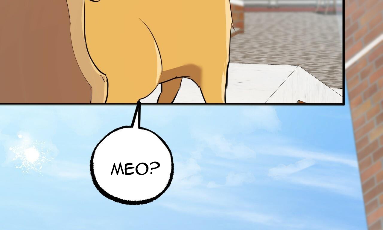 đàn thỏ của habibi chapter 48 82