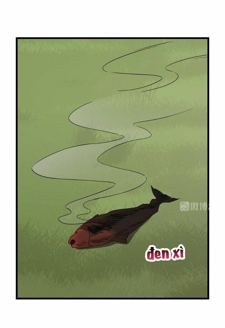 độc bộ thiên hạ: đặc công thần y chapter 241 28