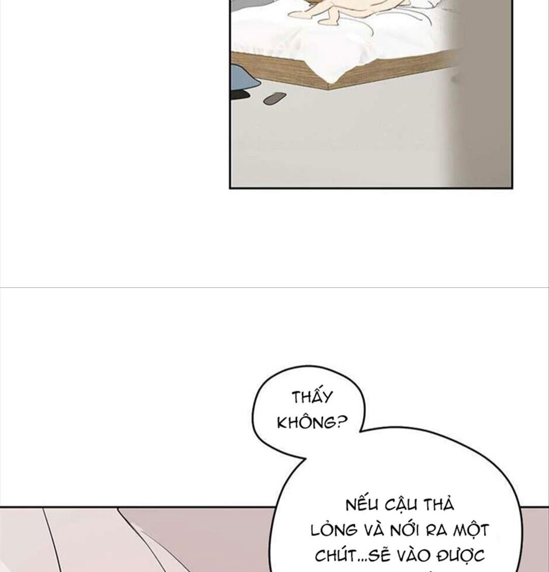 chuyện quái gì với giấc mơ đó vậy chapter 29 127