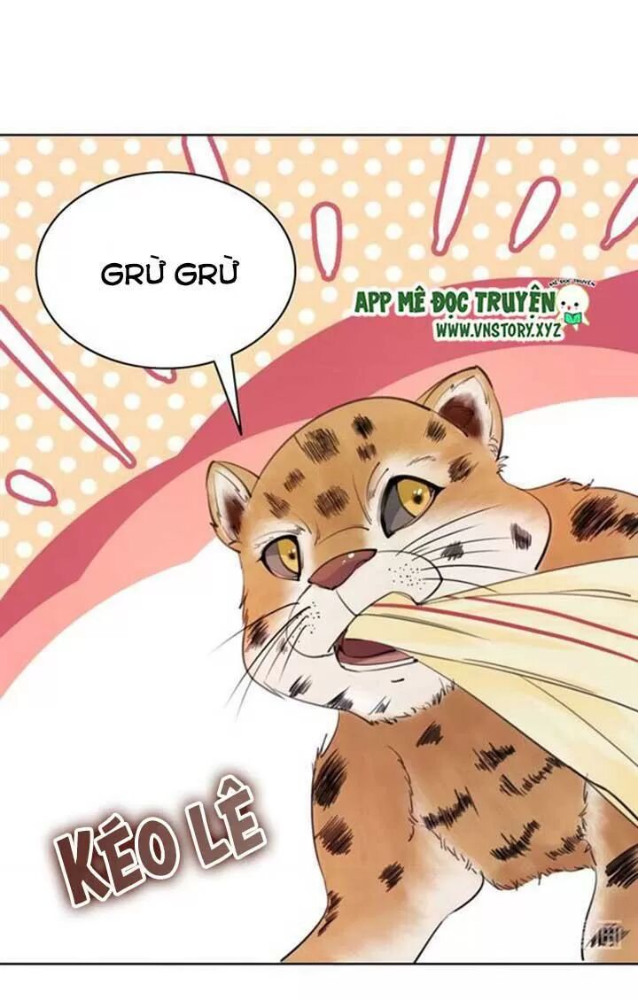 cực phẩm phế vật tiểu thư chapter 60 19