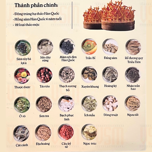 Ginseng House - Chiết Xuất Đông Trùng Hạ Thảo & Hồng Sâm Hàn Quốc 6 Năm Tuổi -Hộp 30 gói
