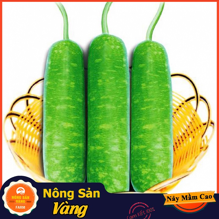 Hạt giống Bầu Dài , Bầu Sao Lai ( Gói 10 Hạt ) - Nông Sản Vàng