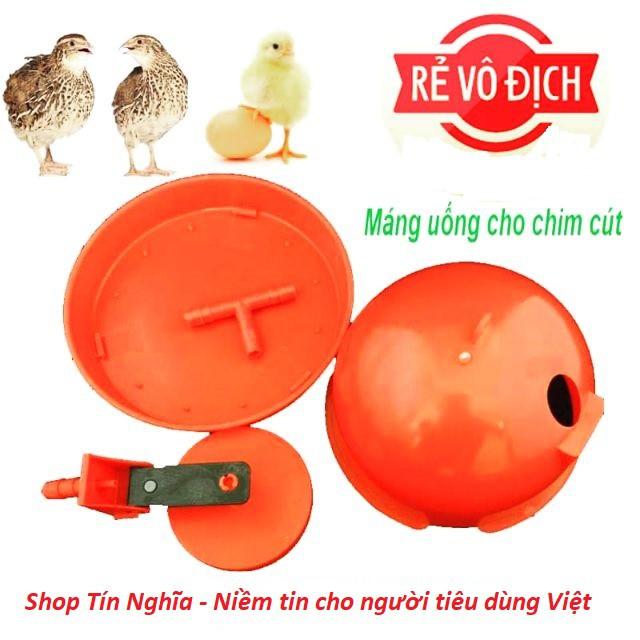 Máng uống cho chim cút - gà vịt