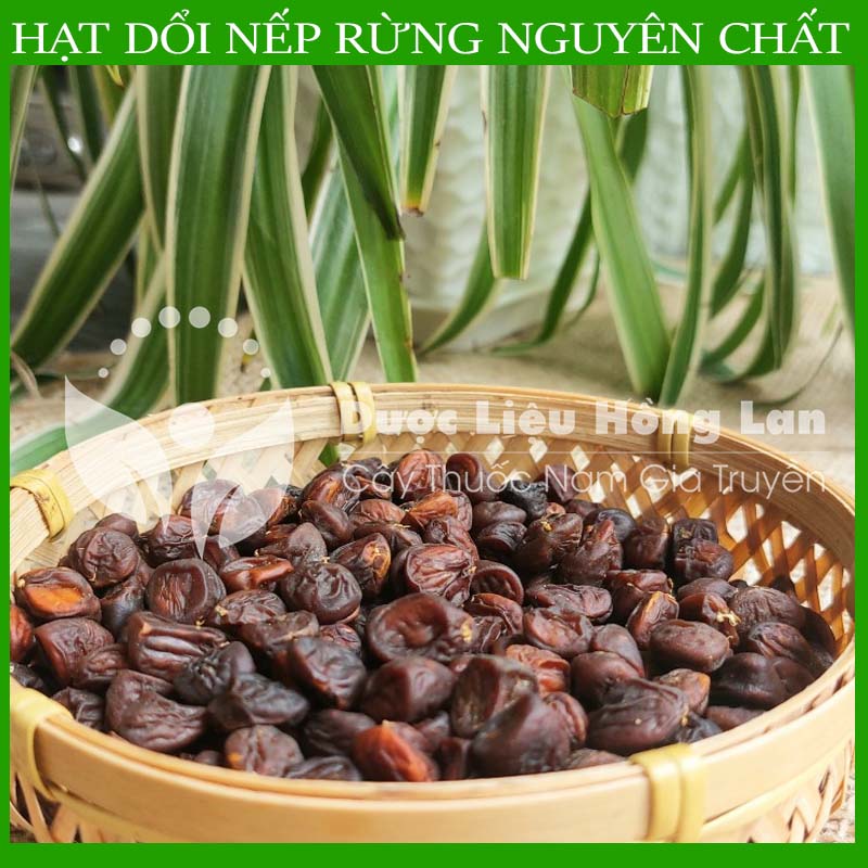 500gram Hạt dổi nếp khô sạch chuẩn rừng loại 1