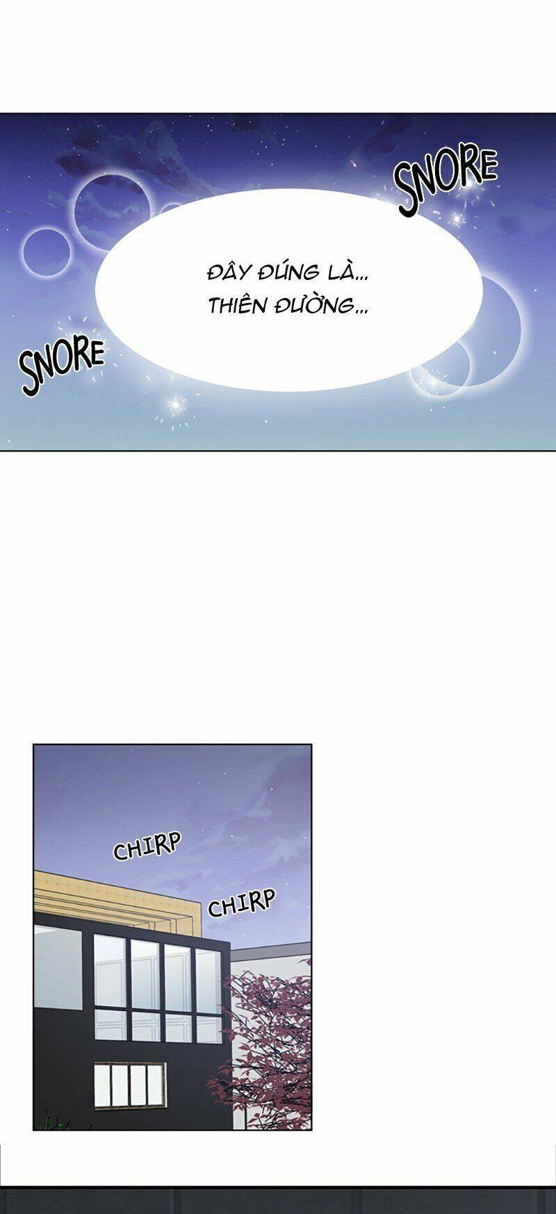 no scope chapter 81 28