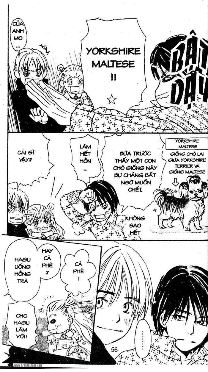 love n life chapter 17 26