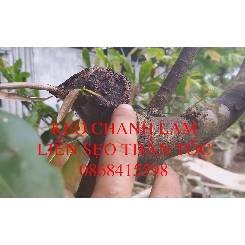 Keo liền sẹo cây chánh lâm, keo liền da cây chánh lâm Chai 130gr.