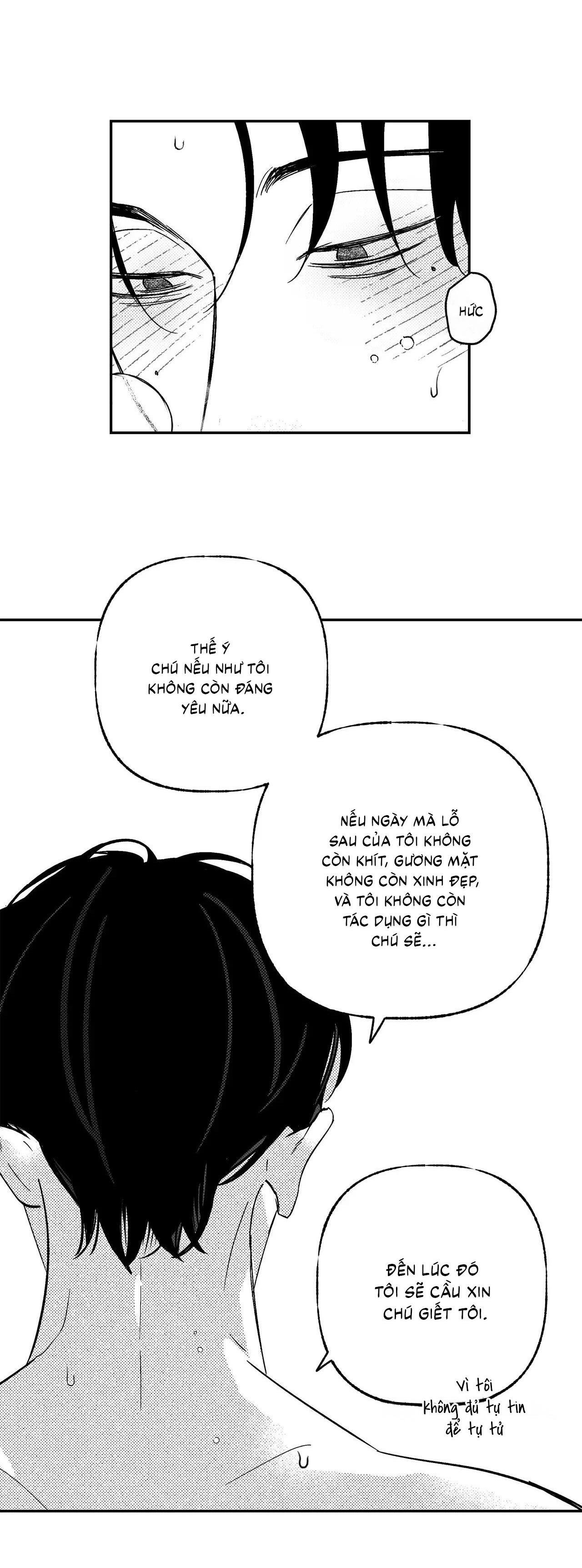 (cbunu) sự kết hợp hoàn hảo chapter 43 32