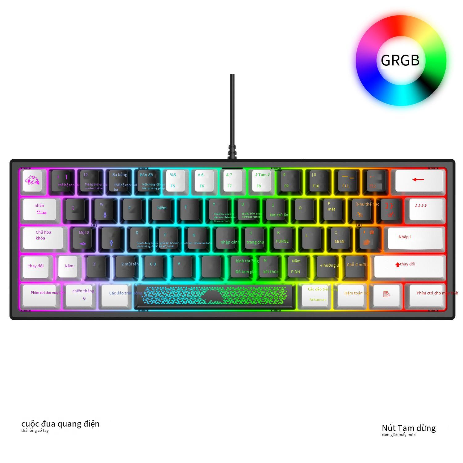 Bàn phím chơi game sói miễn phí thuận lợi nhất Bàn phím chơi game K61RGB ánh sáng RGB bàn phím mini tỷ lệ phần trăm 60 phần trăm bàn phím máy tính xách tay chơi game chơi game