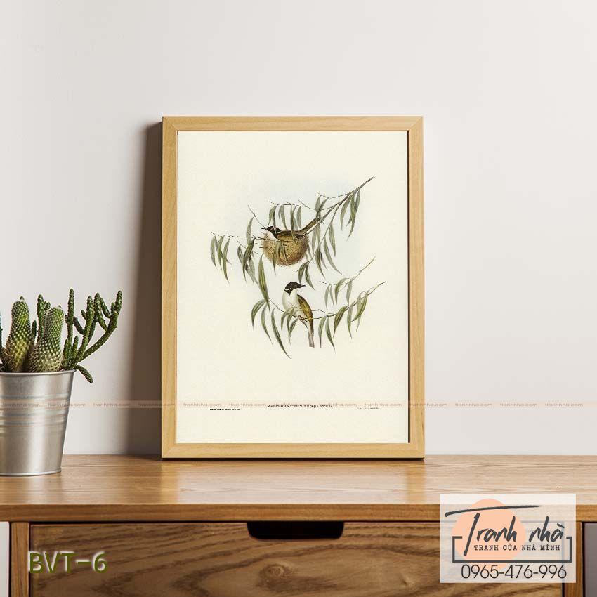 Tranh canvas vintage  - Chim ăn mật (Melithreptus lunulatus) - BVT-6