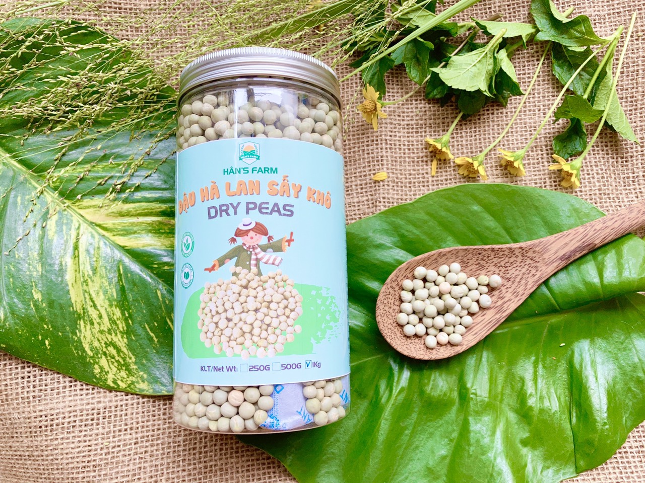 Đậu hà lan xanh không biến đổi gen_ Dry Peas non GMO _ xuất xứ Canada