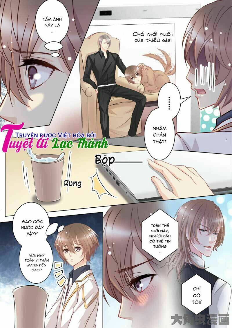 the stars are not luminous body chapter 36 2