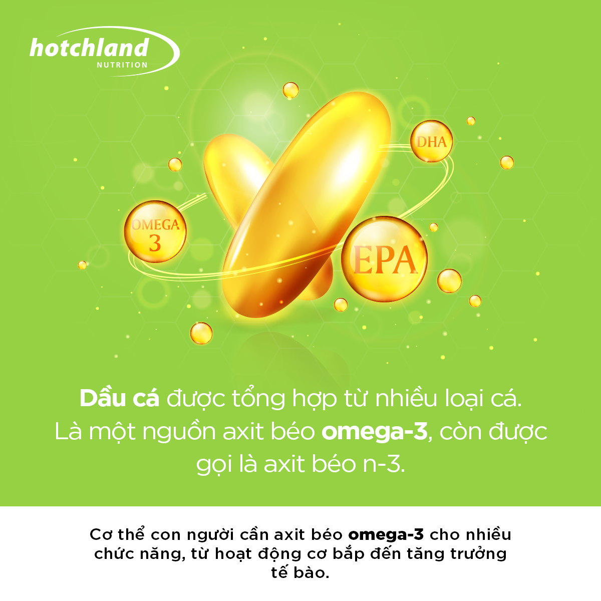 Viên uống dầu cá Omega 3 - Hỗ trợ bổ não, cải thiện thị lực, giảm Cholesterol, Hotchland MegaCardio-Hàng chính hãng -HL4578