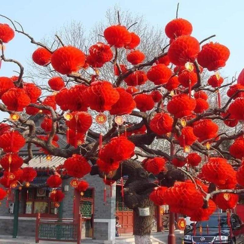 Đèn lồng đỏ kích thước 30 cm