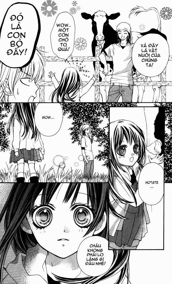 yamamoto zenjirou to moushimasu chapter 1 24