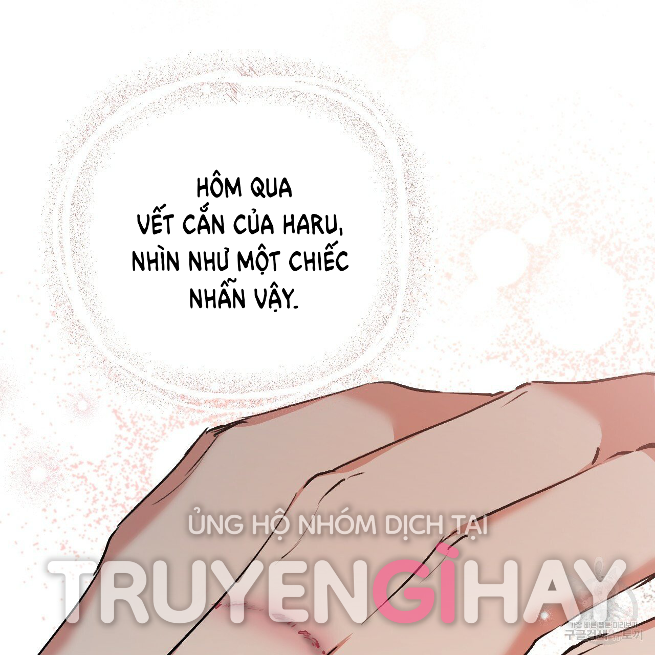 những chú thỏ của hapypy chapter 44 15