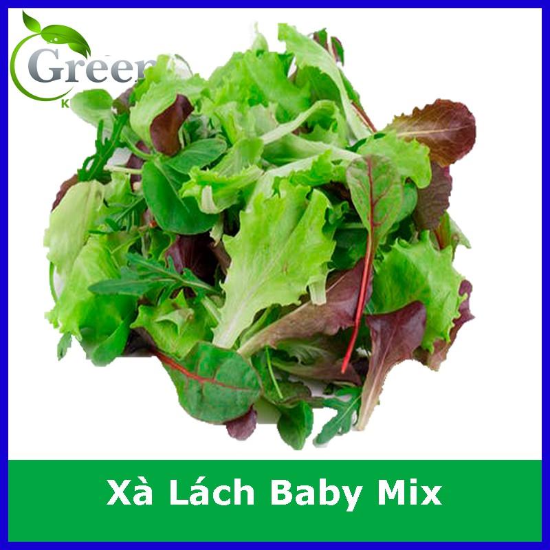 Hạt Giống Xà Lách Mix Nhiều Nhiều Loại (1500 Hạt)