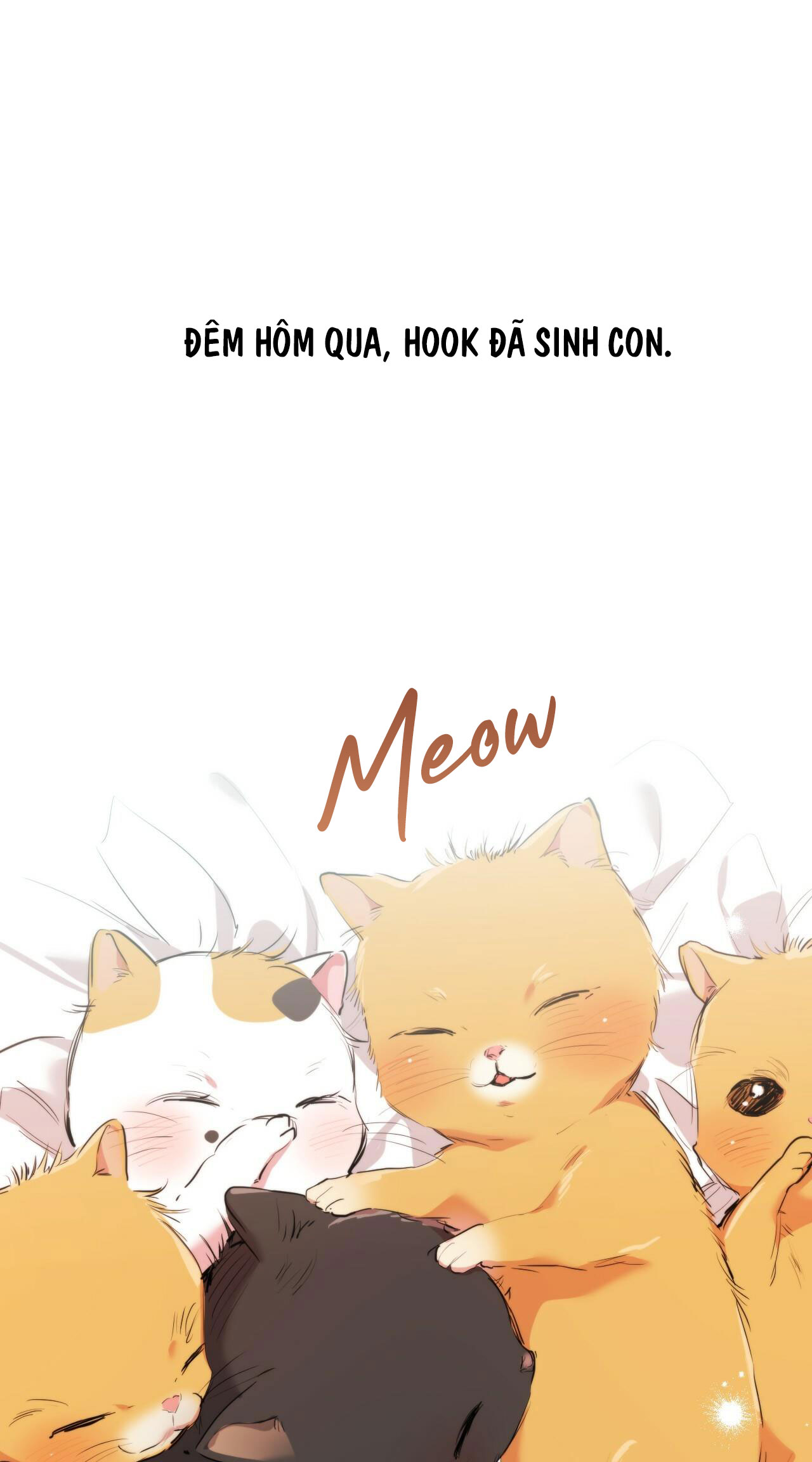 những chú thỏ của hapypy chapter 32 1