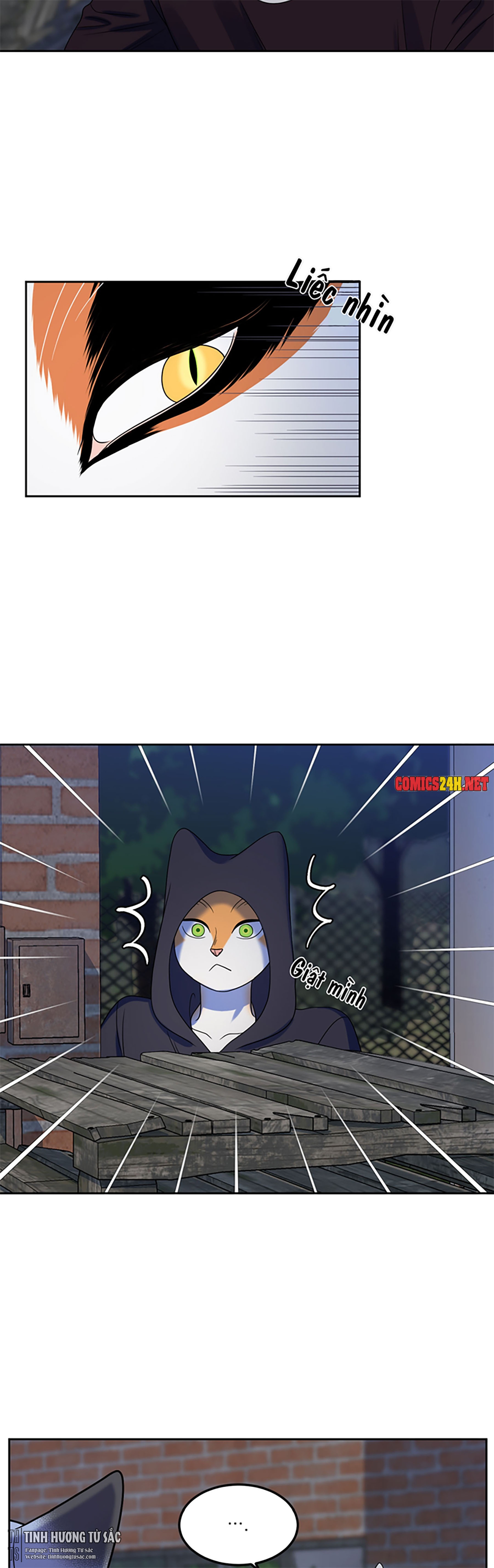 dự án xanh chapter 19 9