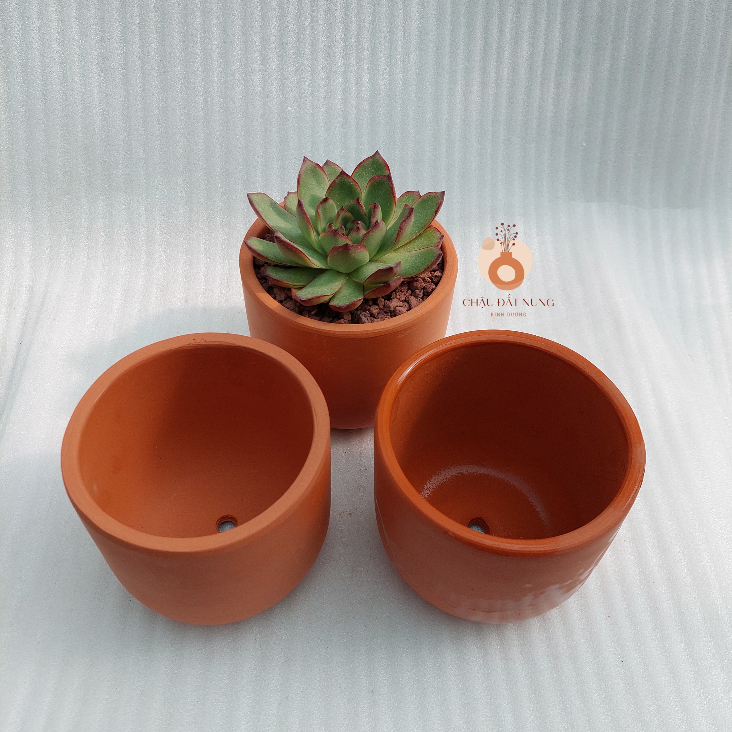 Chậu đất nung Bình Dương - Trụ trứng 1210, miệng chậu 12cm, chiều cao 10cm