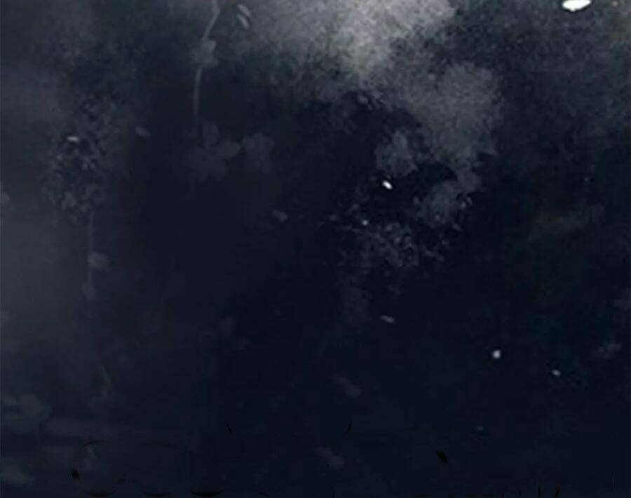 thần y khí nữ: ngự thú cuồng phi của quỷ đế chapter 90 8