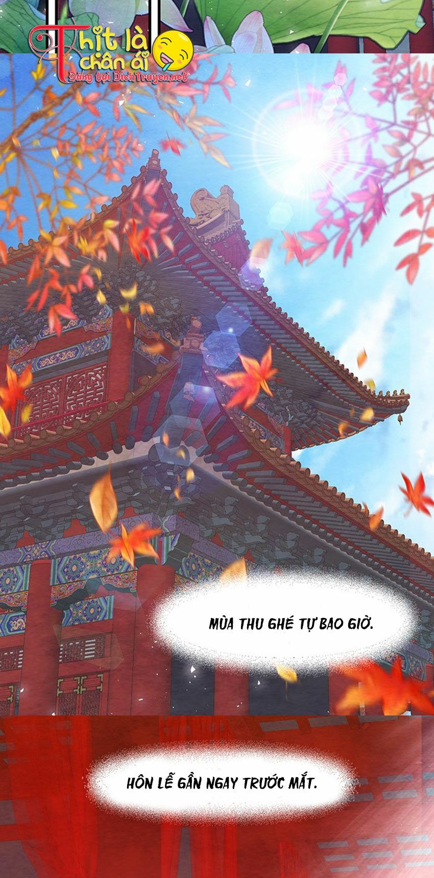 đêm thác loạn (đêm dục vọng) chapter 22 2