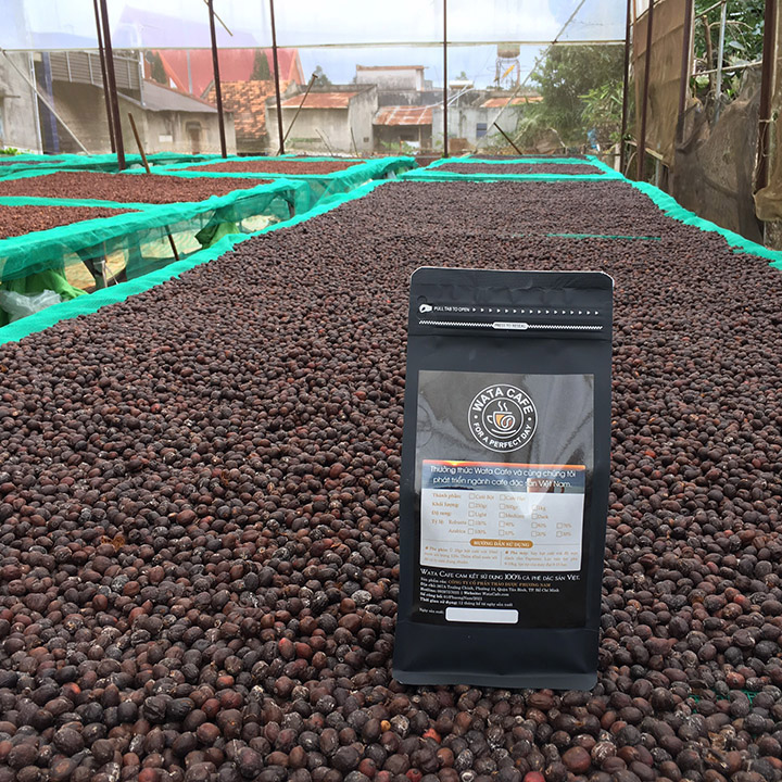 WataCafe - Cà phê pha phin vị truyền thống 100% Robusta (1kg