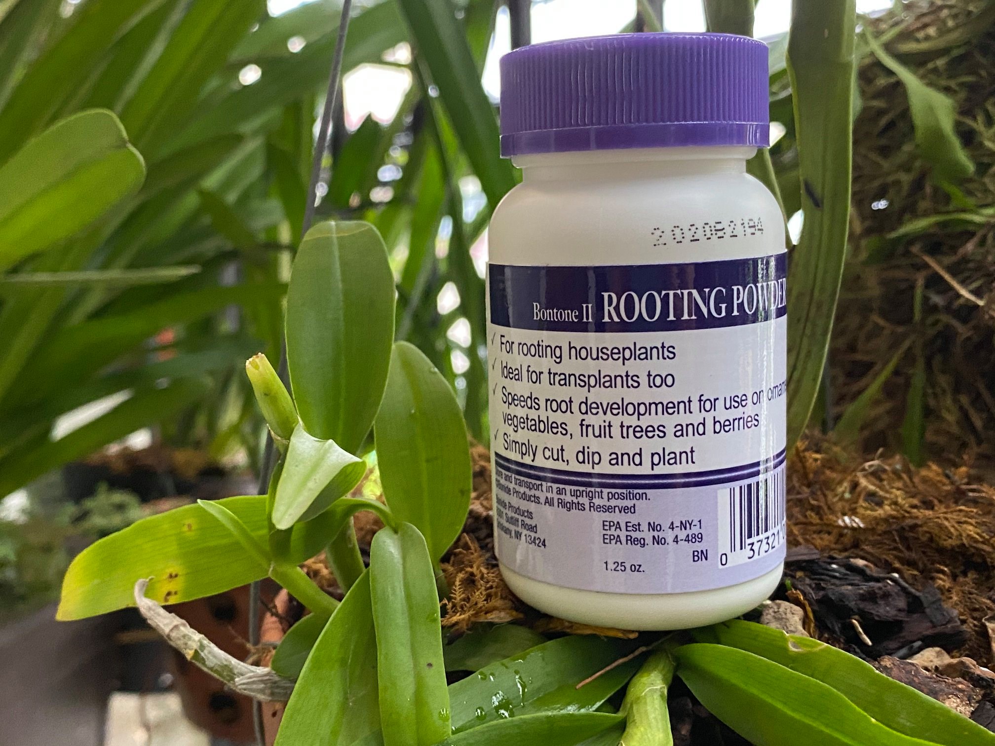 ROOTING POWDER SIÊU KÍCH RỄ (GIÂM CÀNH, CHIẾT CÀNH, CHỐNG KHUẨN) - 35g