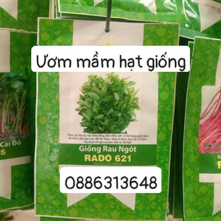 Giống rau bồ ngót